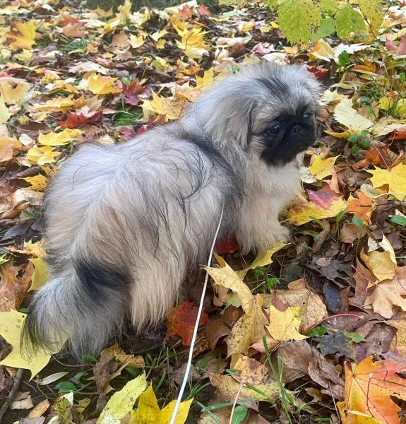 Прикрепленное изображение: IMG-20241013-WA0020.jpg